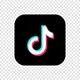 TikTok Login